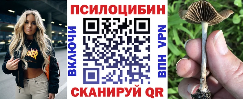 наркота  Севастополь  MEGA вход  Галлюциногенные грибы Magic Shrooms 
