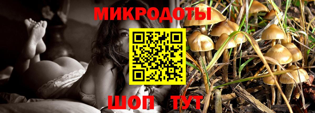 Псилоцибиновые грибы MAGIC MUSHROOMS Севастополь