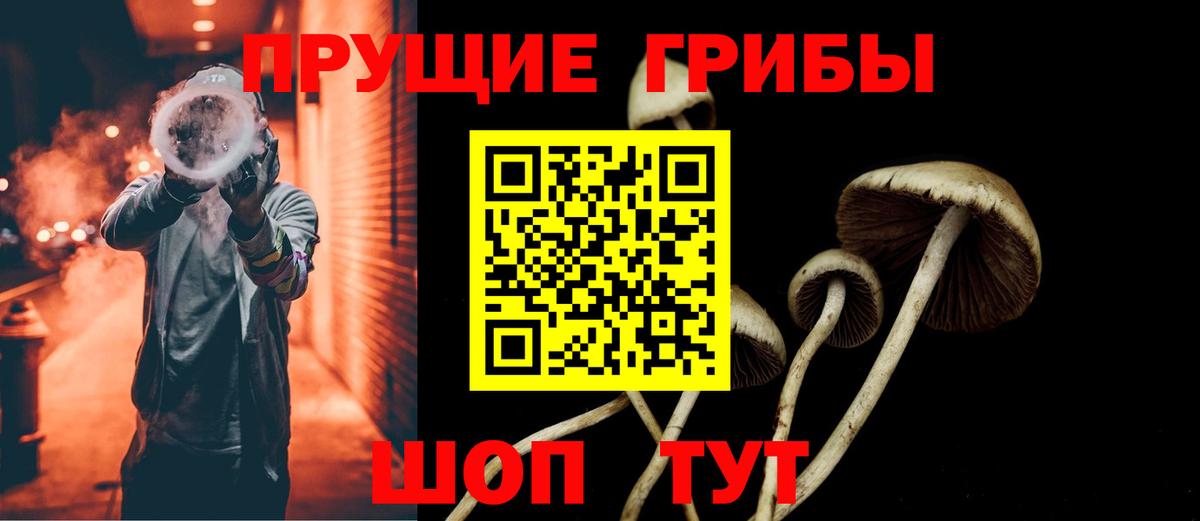 Севастополь  Псилоцибиновые грибы мухоморы  Вход с VPN  Псилоцибиновые грибы MAGIC MUSHROOMS 